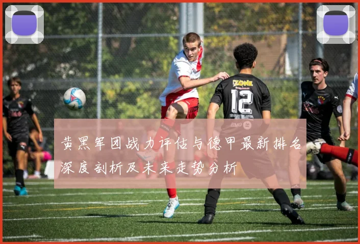 黄黑军团战力评估与德甲最新排名深度剖析及未来走势分析