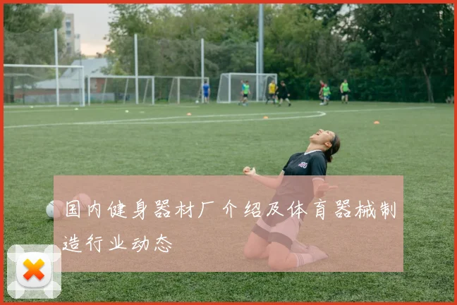 国内健身器材厂介绍及体育器械制造行业动态